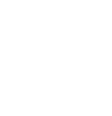 Top Notch Visuals